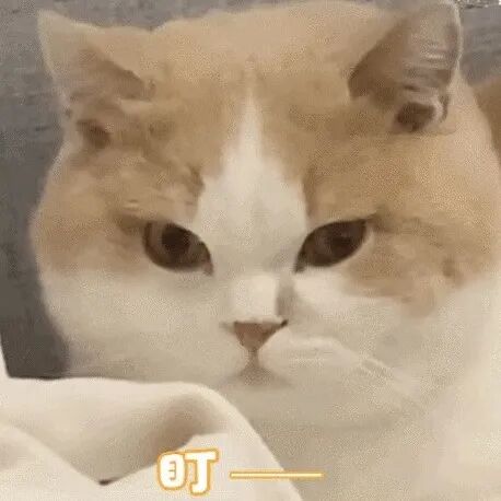 MBA就业方向与薪资水平_攻读MBA硕士价值_mba工资高吗