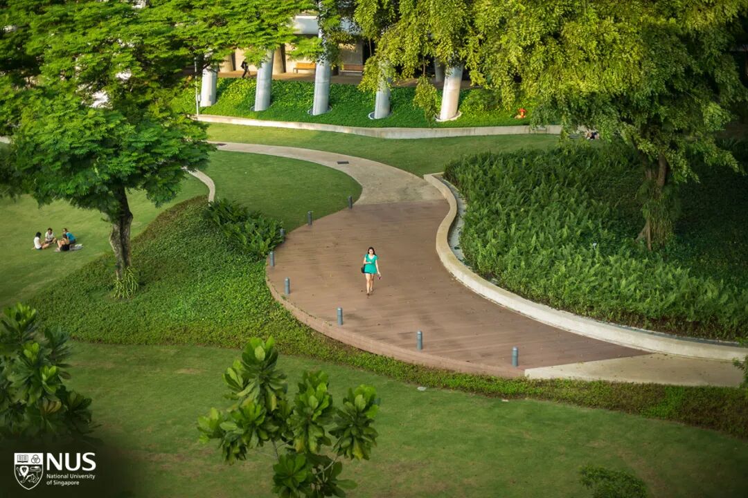 mba nus_新加坡国立大学MBA访学项目_南京大学MBA新加坡国立大学访学