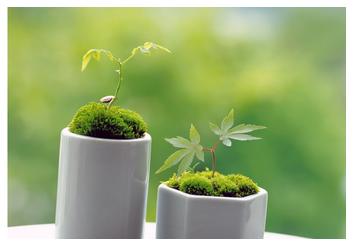 一月在职研究生双证专业_2020年在职硕士mba_双证在职研究生专业选择